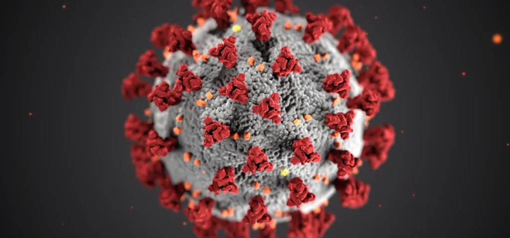 Corona Virus
